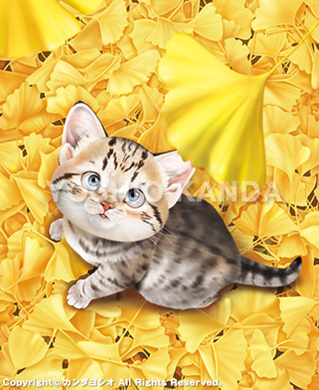 �r�b�O�R�~�b�N�I���W�i�������2025�N11�����\���G